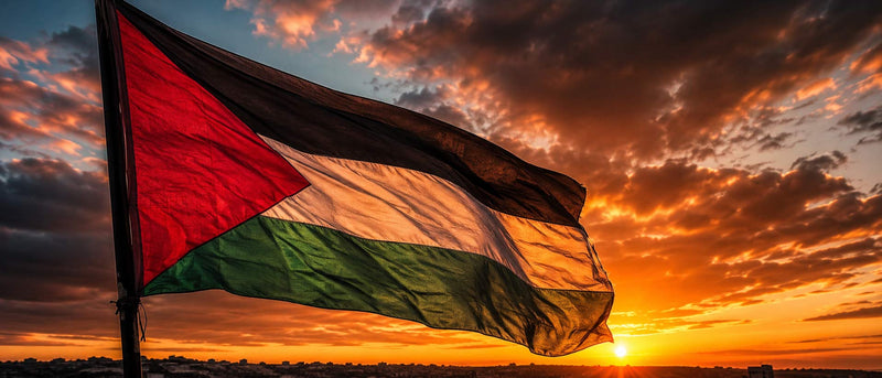 Maillots de la Palestine