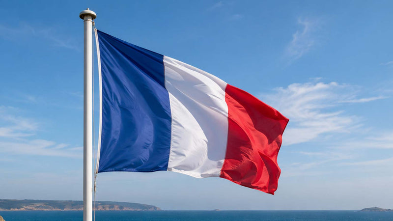 Maillots de la France
